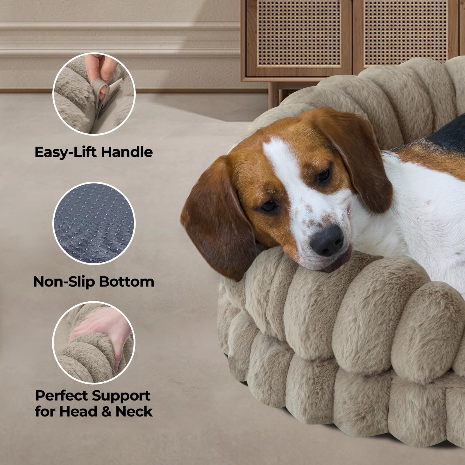 BALANCE grand chien utilisant le lit pour repos sécurisé
