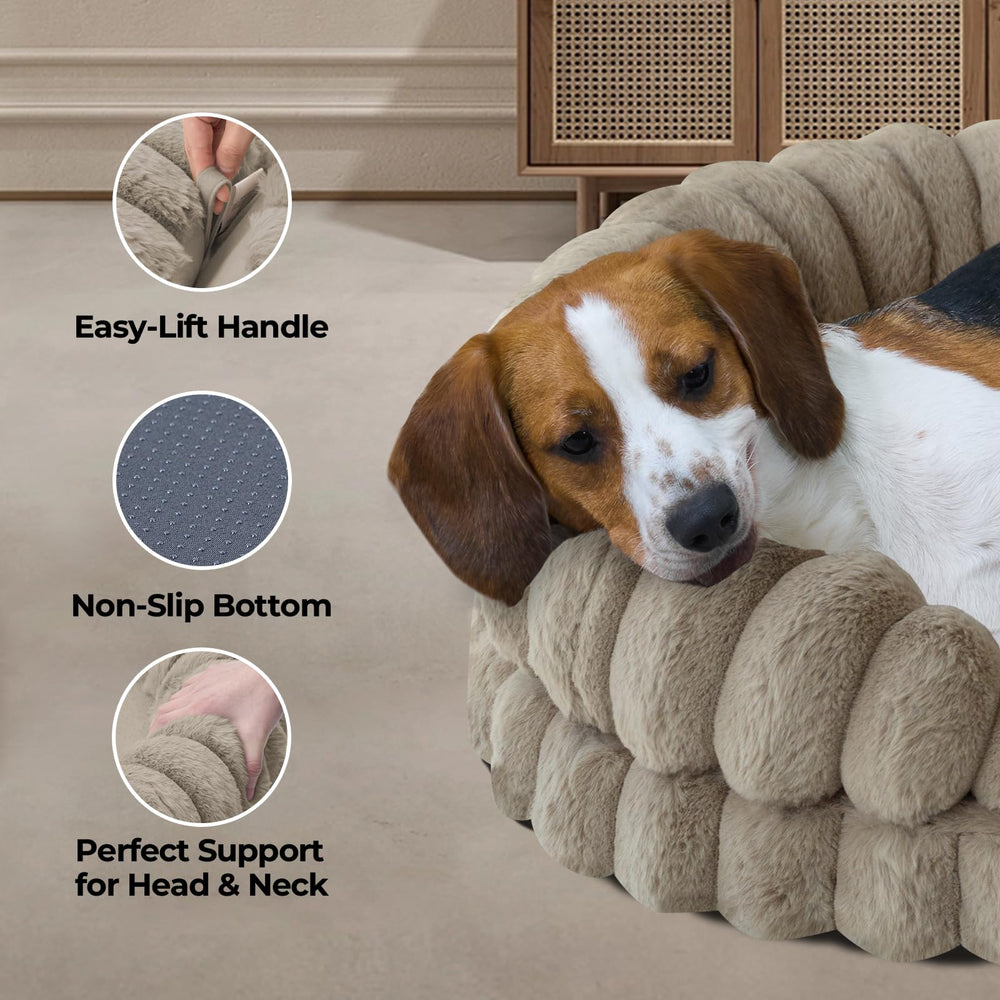 BALANCE grand chien utilisant le lit pour repos sécurisé