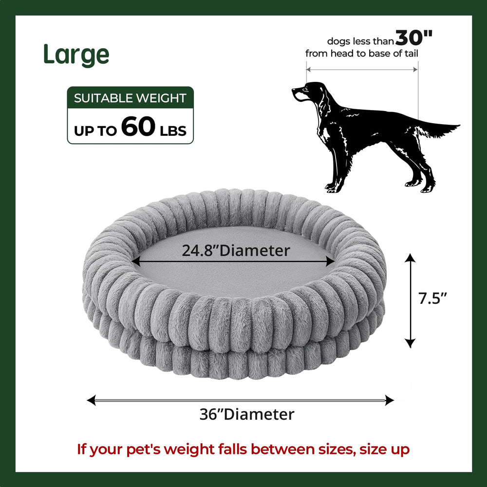 BALANCE chien moyen couché dans le lit illustrant apaisement et sécurité