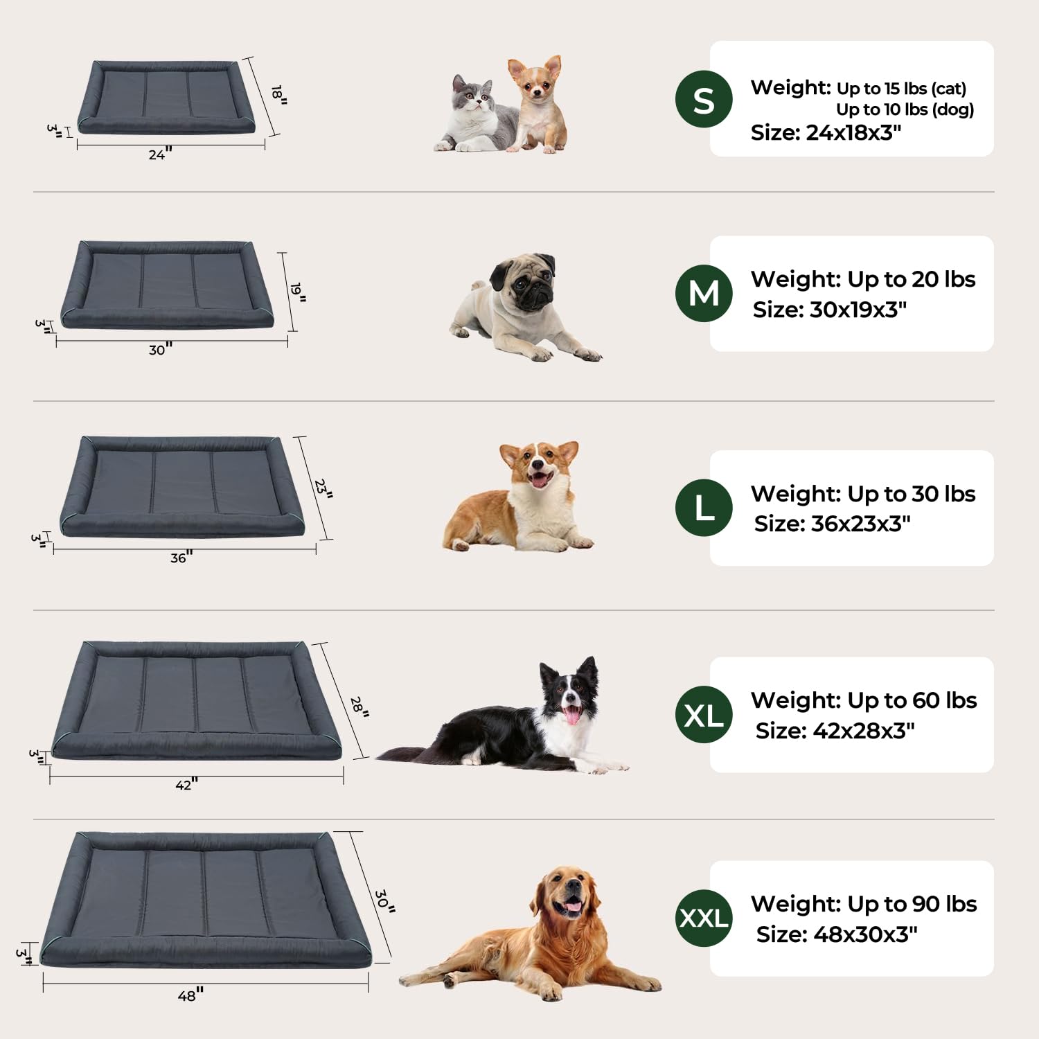 BALANCE comparaison de taille montrant espace pour chien très grand