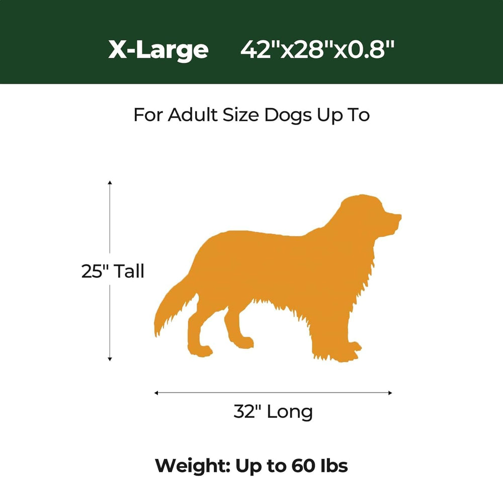 BALANCE tapis installé dans une caisse XL pour confort du chien