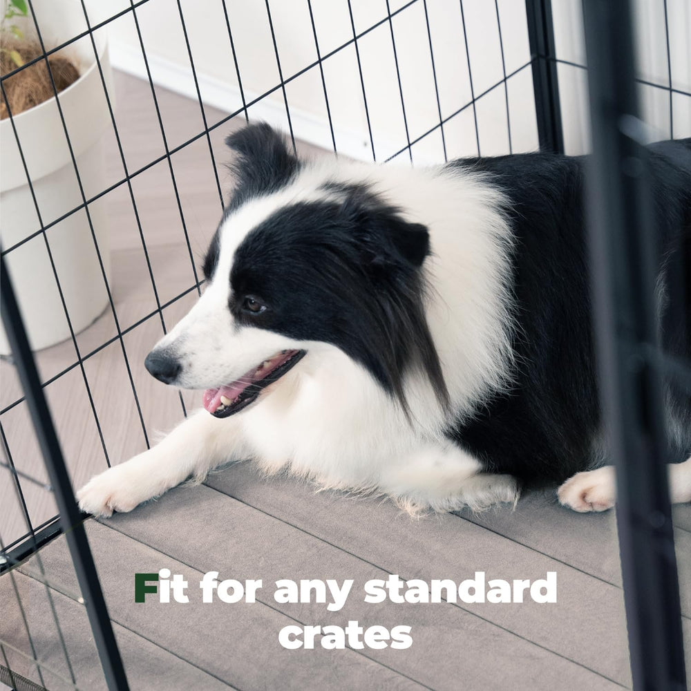 BALANCE tapis placé dans une caisse pour démontrer adaptation pratique