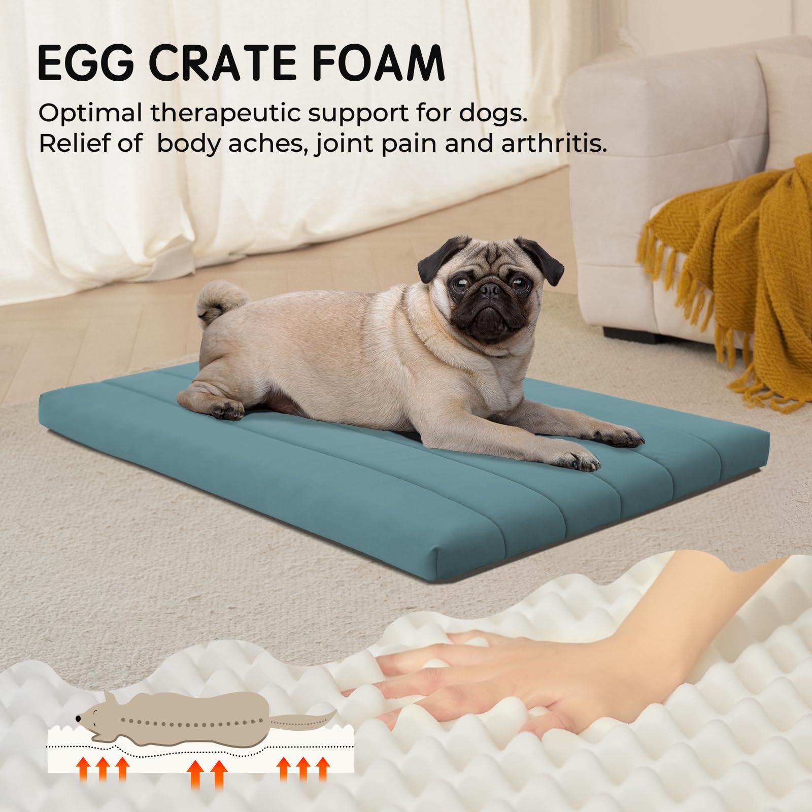 BALANCE gros plan texture fausse laine douce pour apaiser le chien