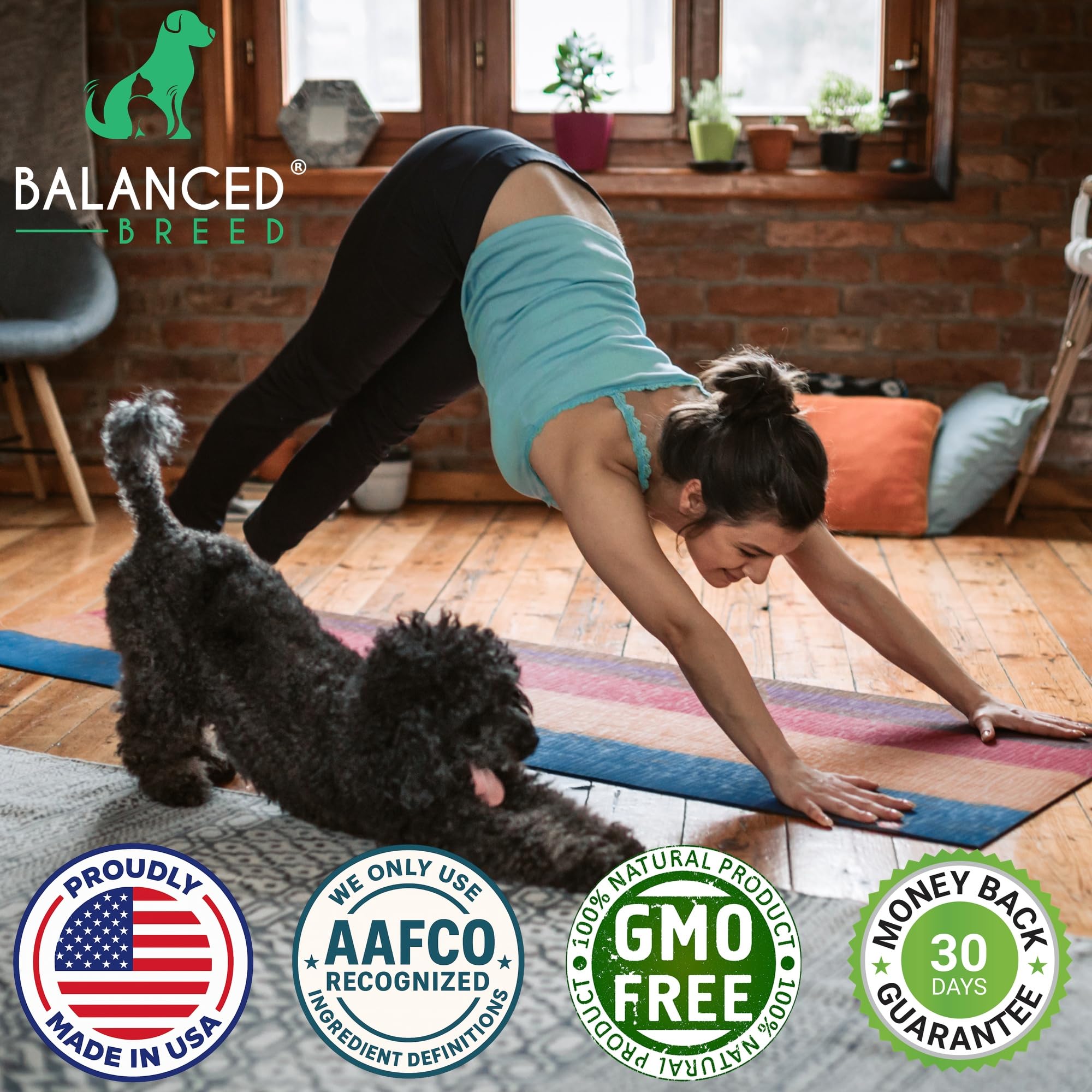 Balanced Breed chien adulte acceptant la friandise, favorise prise quotidienne