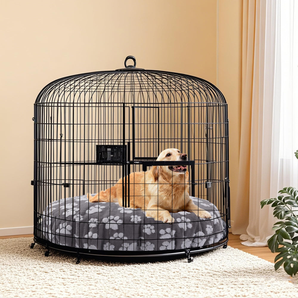 BALAPET comparaison taille montrant ajustement 45x45x11in précis