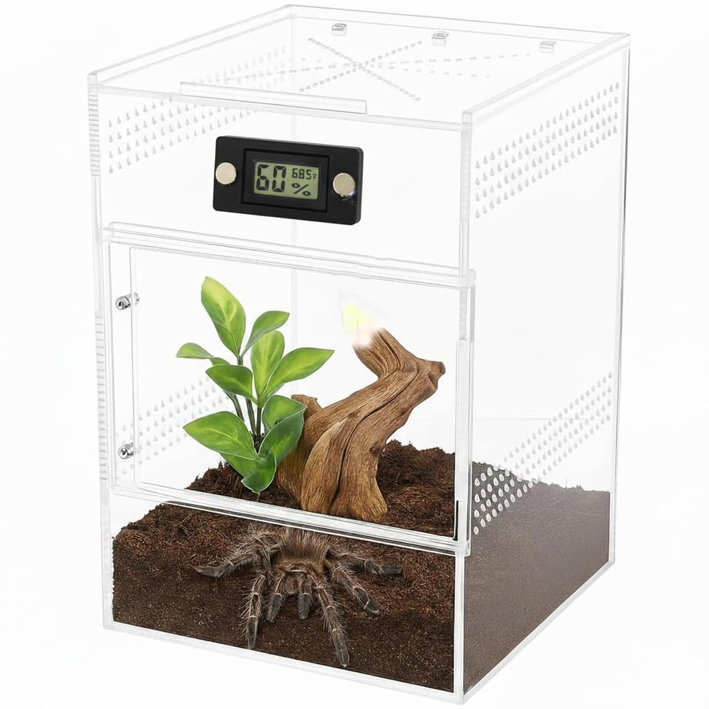 BamiriX angle profil compact s'intègre bien au décor du terrarium