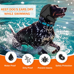 BAMY en usage chien nage illustrant protection contre l'eau