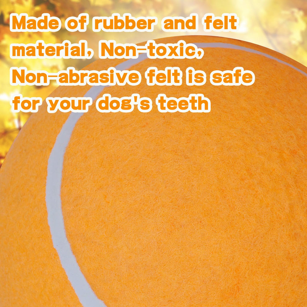 Banfeng balle en parc avec chien en poursuite, stimule course et exercice