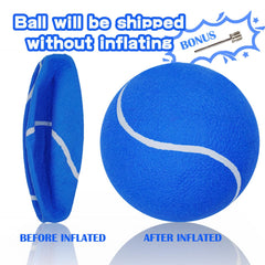 Banfeng ballon en main illustrant échelle 24 cm pour choisir taille adaptée