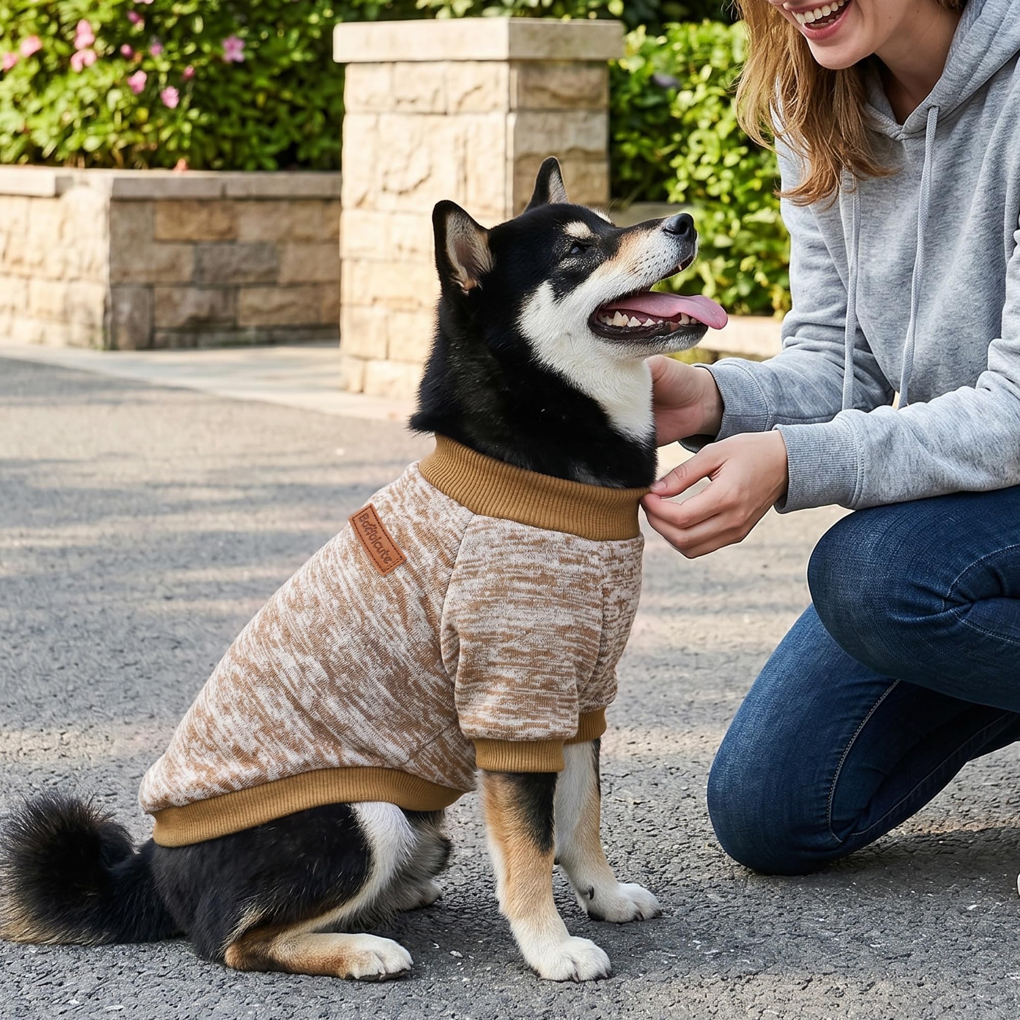 BAOBICUTE chat porte pull sur canapé pour confort intérieur et maintien de chaleur