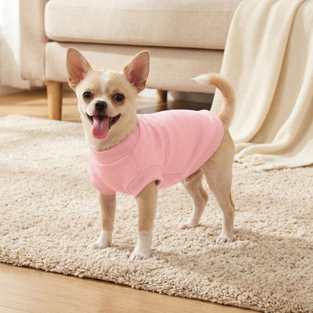 BAOBICUTE chien portant le t-shirt en extérieur pour promenade confortable