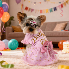 BAOBICUTE chien portant robe lors d'une fête, confort et style visibles