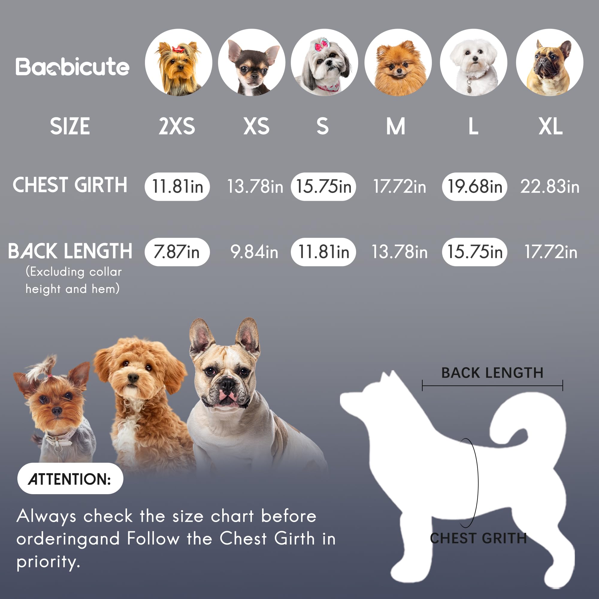 BAOBICUTE chien sur canapé en intérieur confort doux et style quotidien