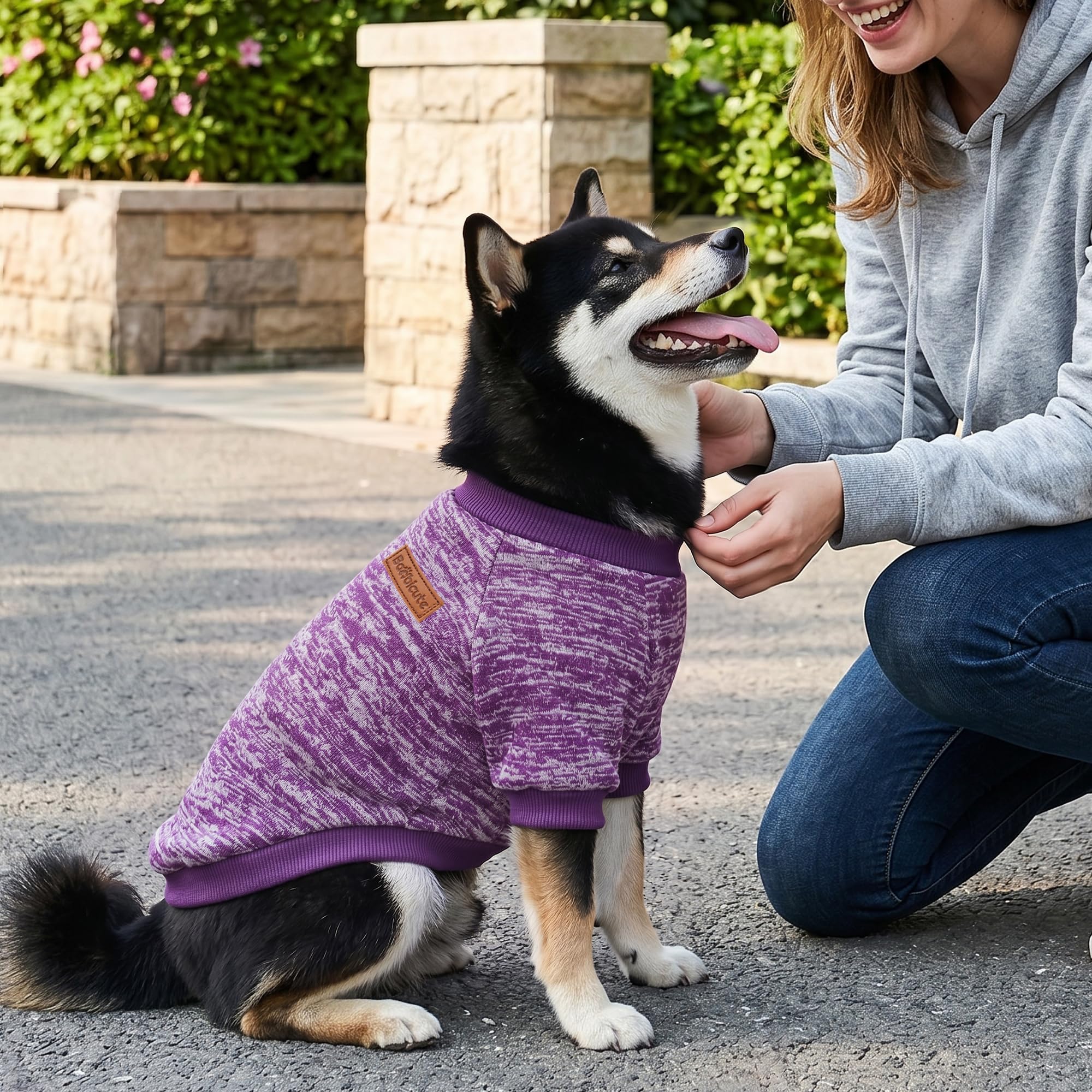 BAOBICUTE chat portant le pull, coupe adaptée aux petits animaux