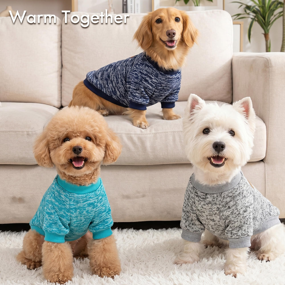 BAOBICUTE chien en balade portant pull pour promenade confortable