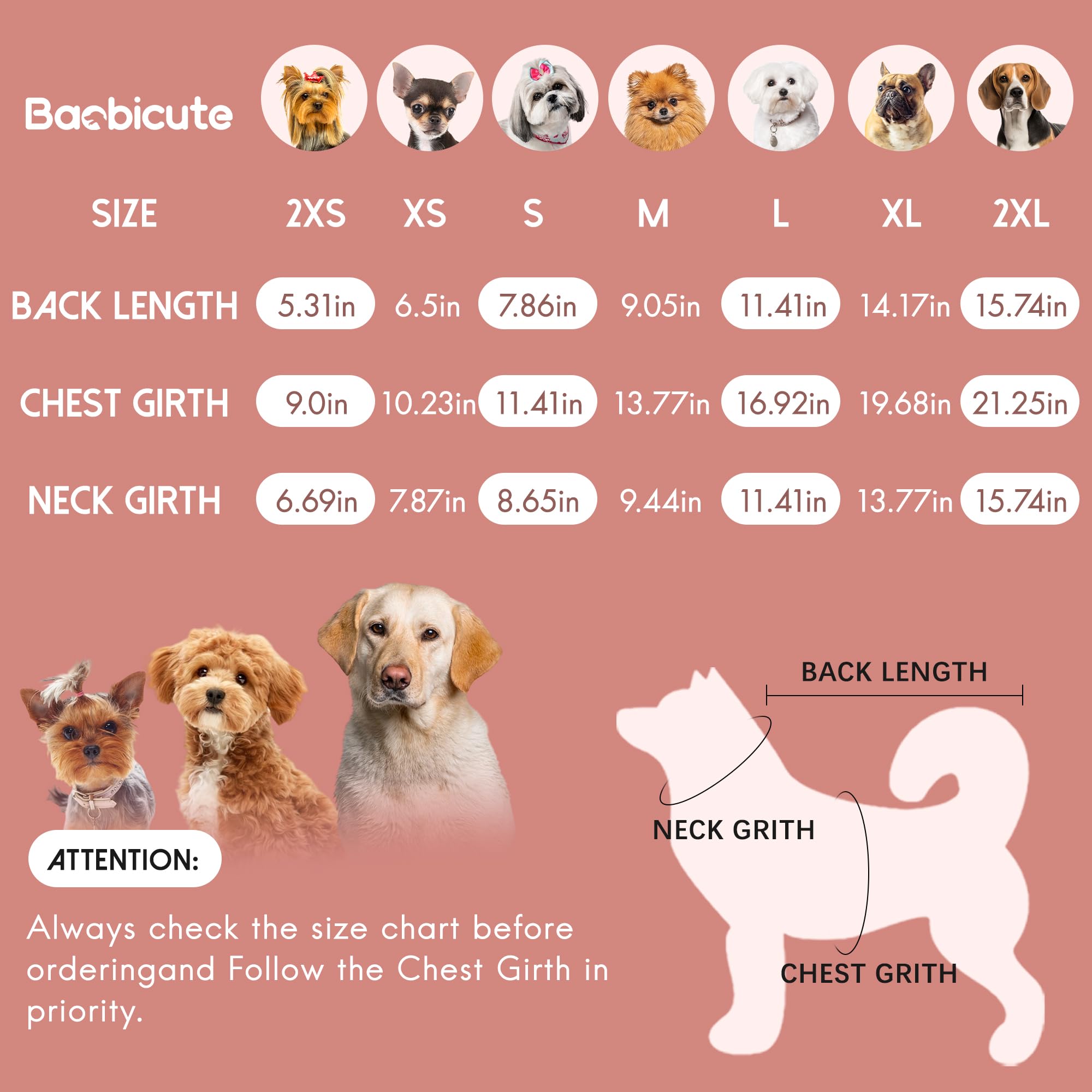 BAOBICUTE chien en promenade, look chaud et sécurité renforcée