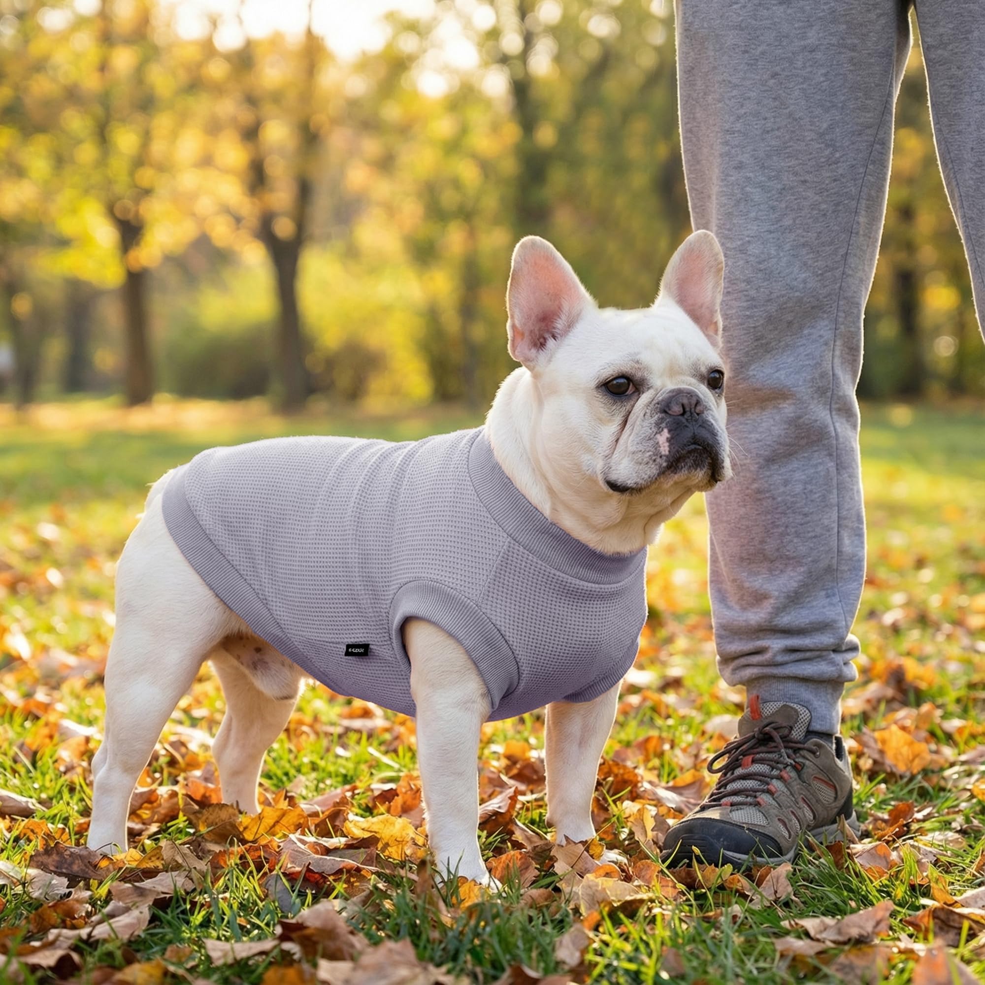 BAOBICUTE t-shirt plié dans un sac, pratique pour voyages et rangement rapide