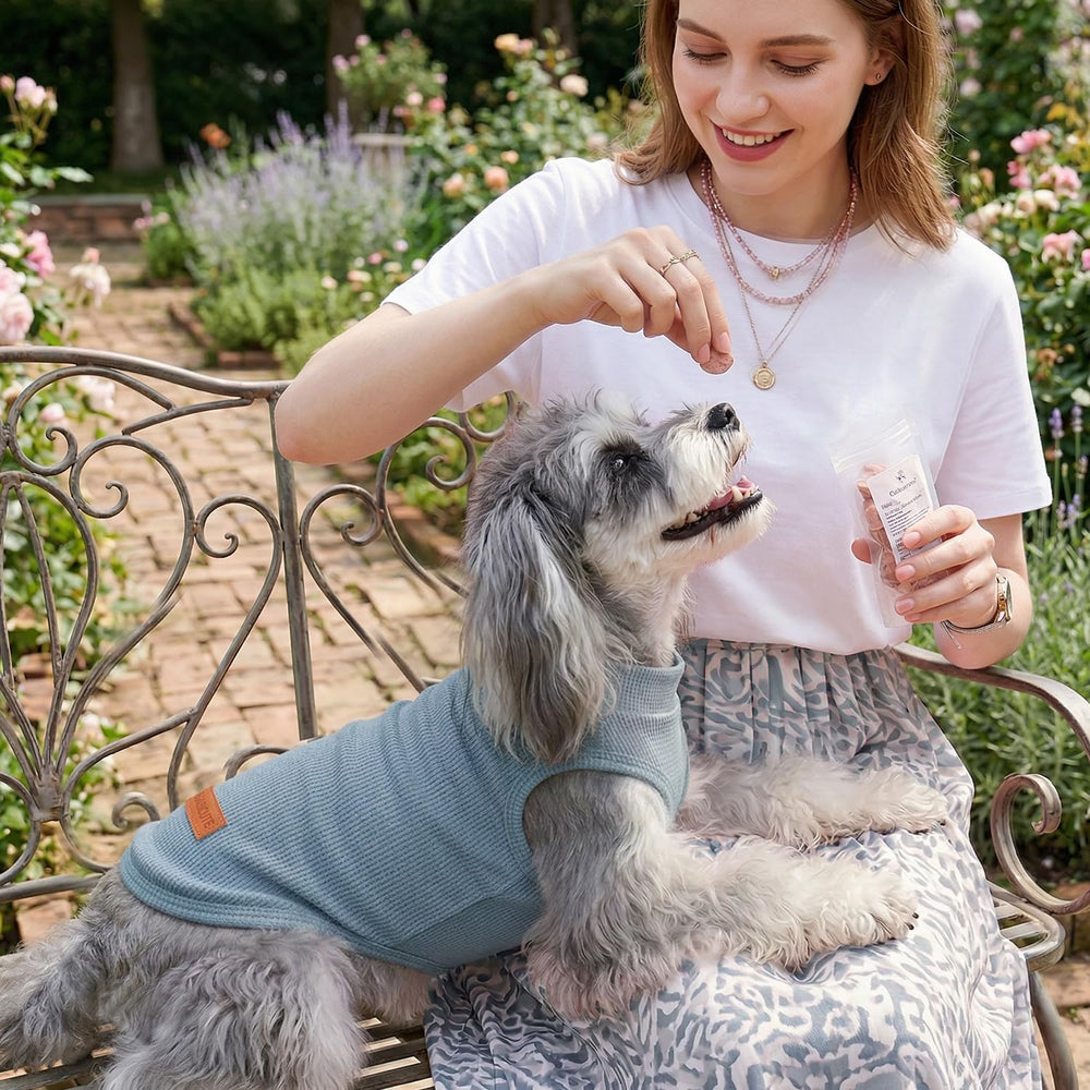 BAOBICUTE rayures colorées sur table, style durable et net