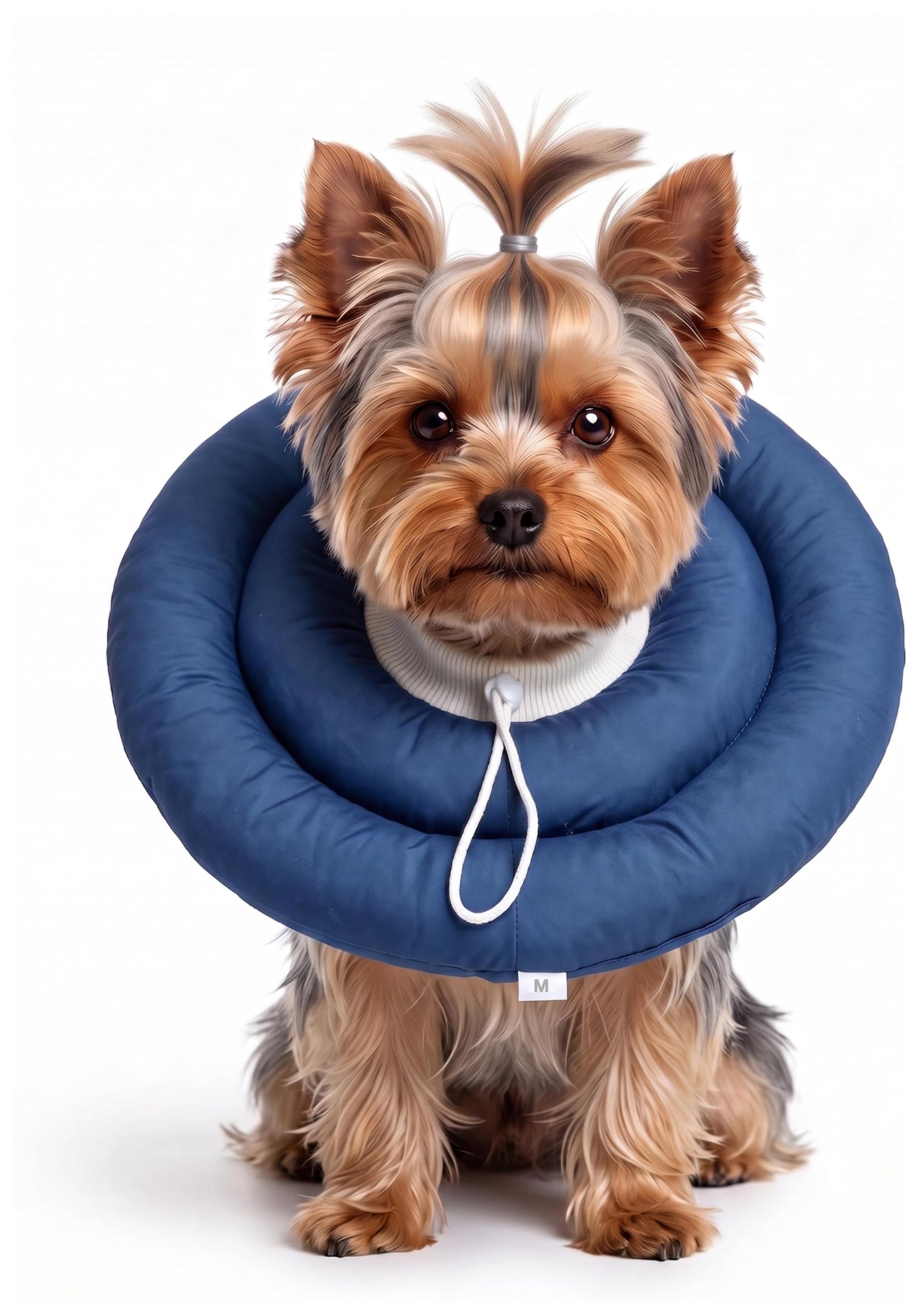 BARDIMIES collier donut vue avant offrant protection confortable