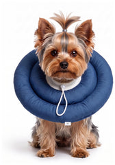 BARDIMIES collier donut vue avant offrant protection confortable