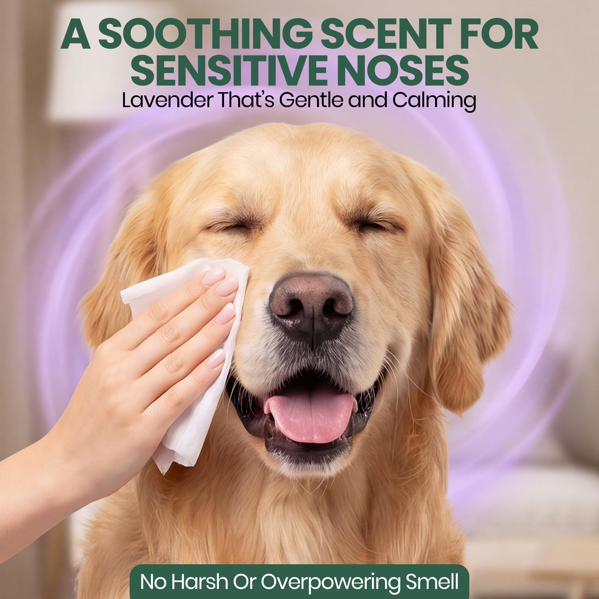 Bark & Clean main tenant une lingette pour montrer l’échelle réelle