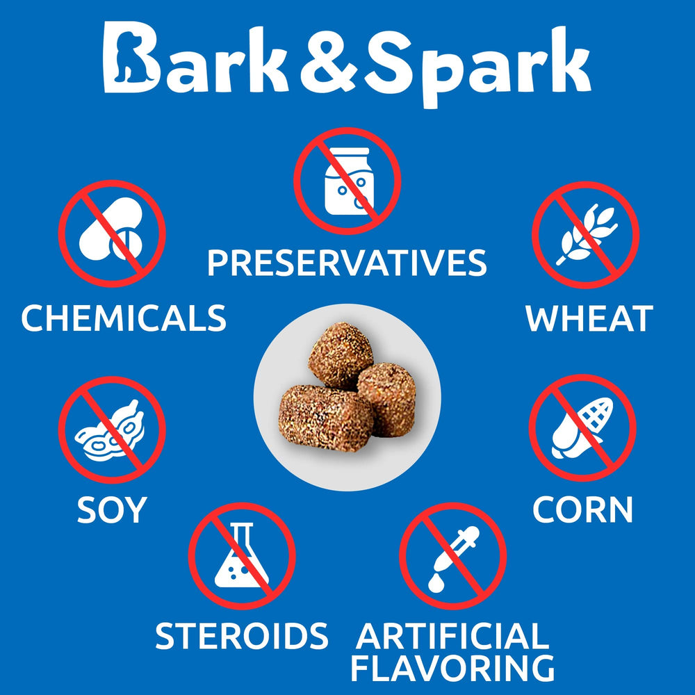 BARK&SPARK scène intérieure montrant maison propre après usage