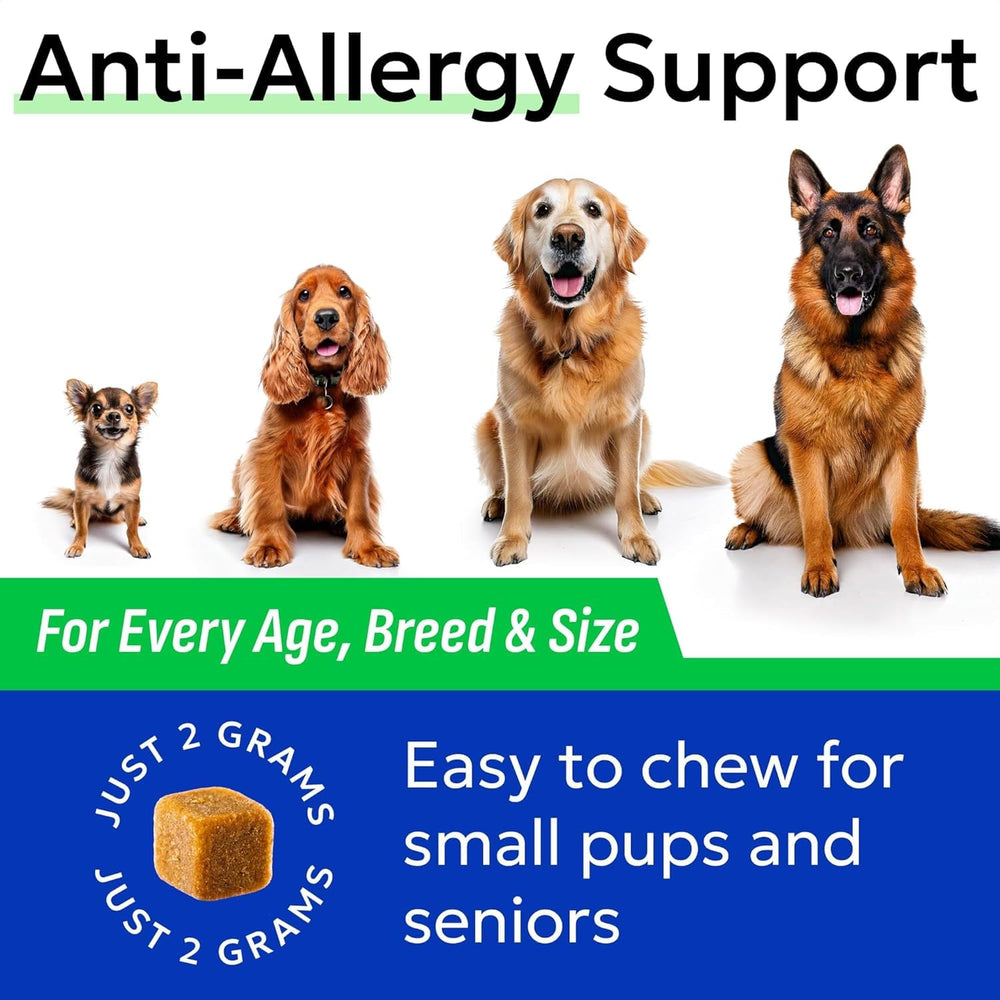 Main tenant plusieurs chews BARK&SPARK pour montrer taille et facilité d'usage