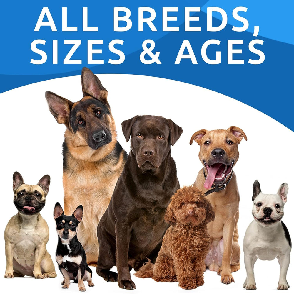 BARK&SPARK emballage et guide poids, facilite choix de dosage