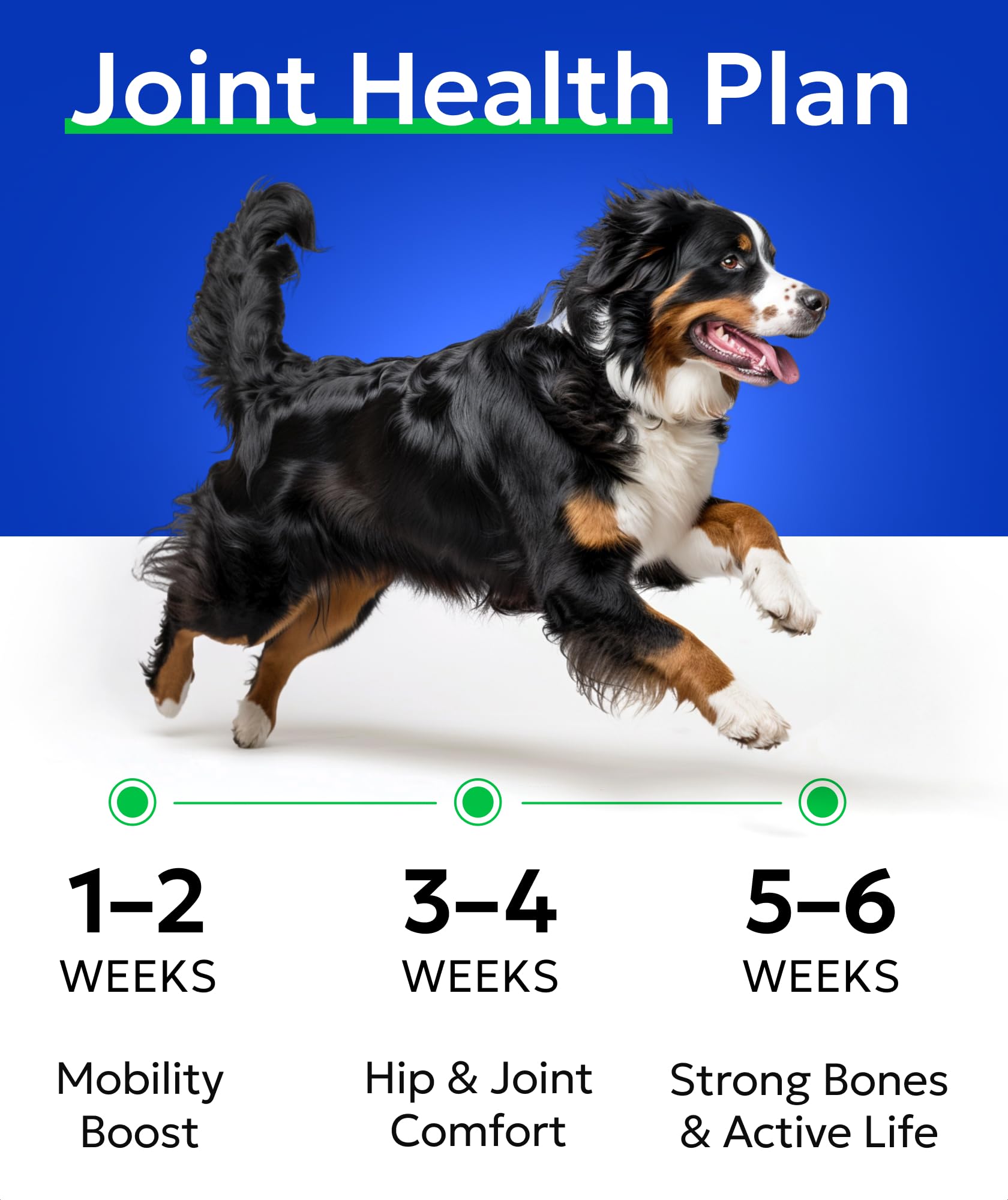 BARK&SPARK étiquette lisible listant glucosamine chondroitine MSM oméga