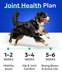 BARK&SPARK étiquette lisible listant glucosamine chondroitine MSM oméga