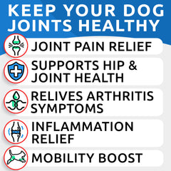 BARK&SPARK étiquette en gros plan précisant ingrédients et dosage clair