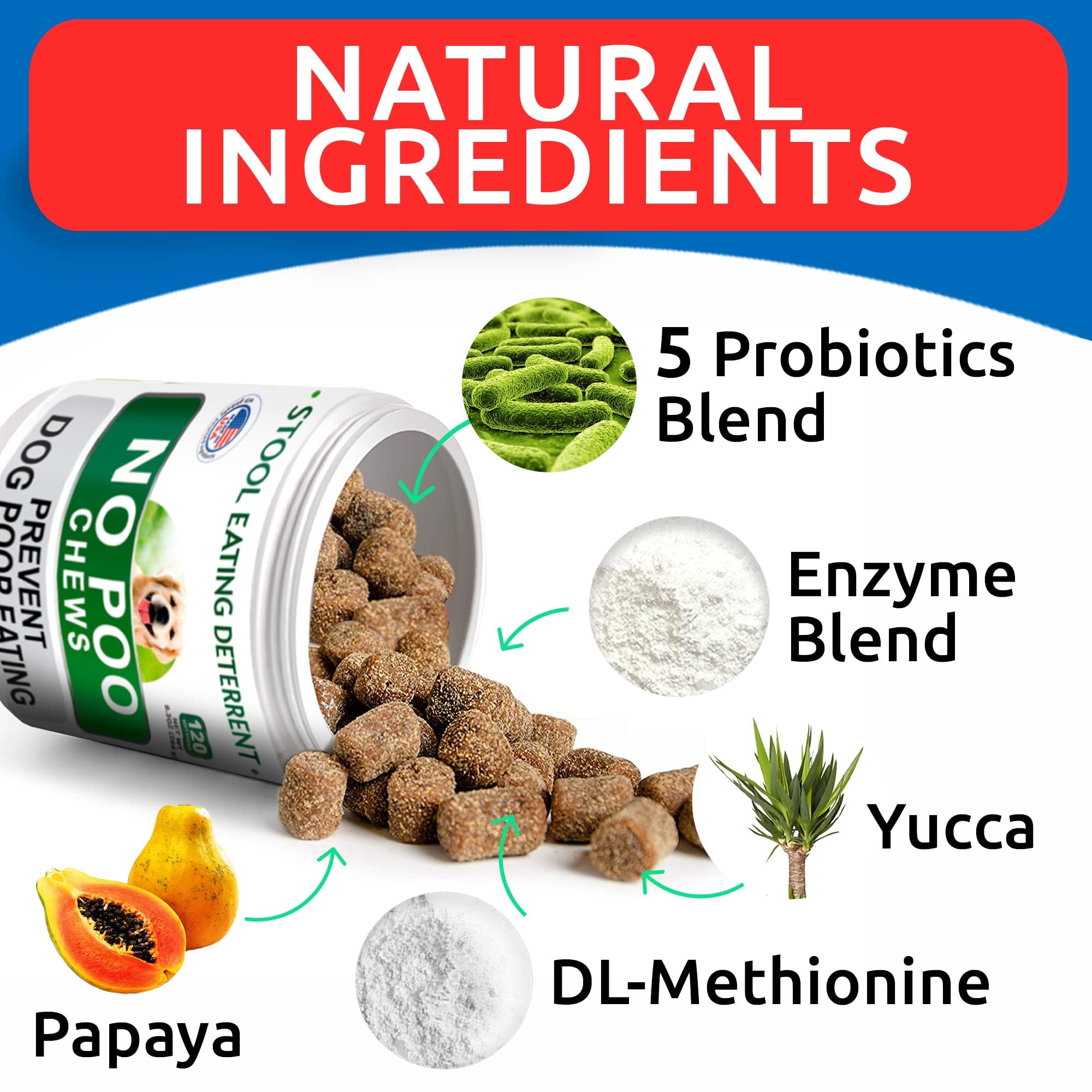 BARK&SPARK ingrédients naturels présentés pour soutien digestif