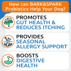 BARK&SPARK gros plan sur la texture des chews, appétence naturelle assurée