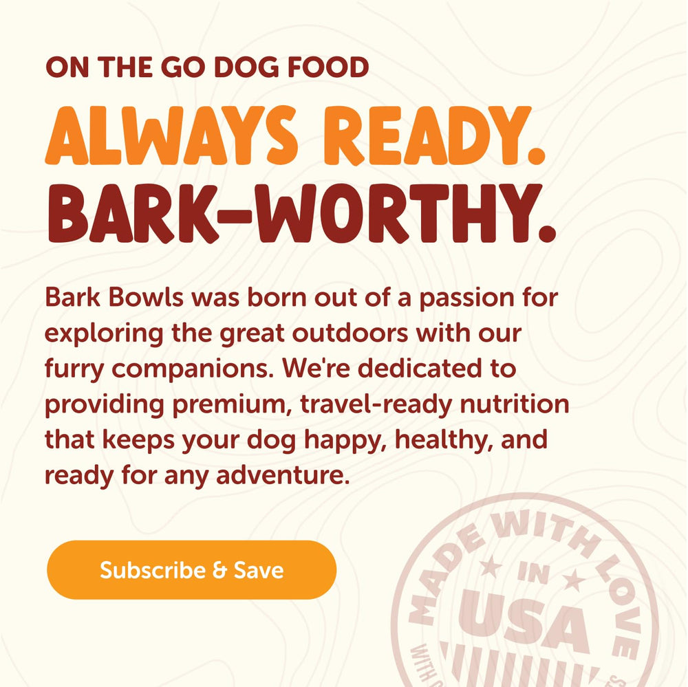 Chien enthousiaste mangeant BARK Bowls en cuisine, bénéfice appétit retrouvé