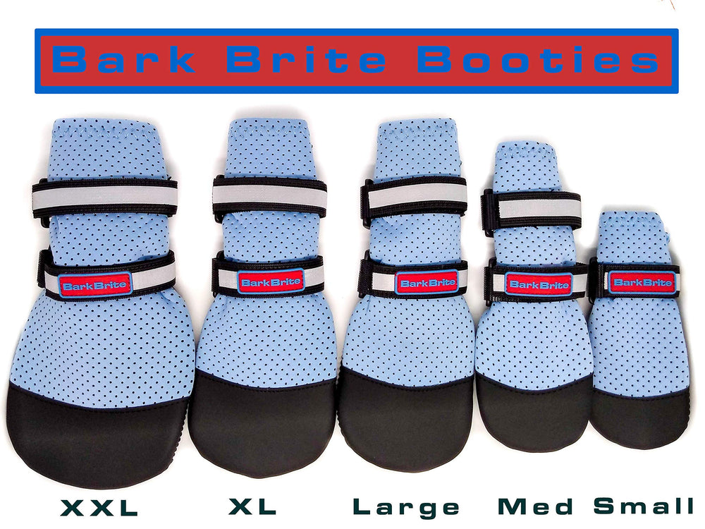 Bark Brite comparaison taille avec patte sur règle, aide au choix de la taille