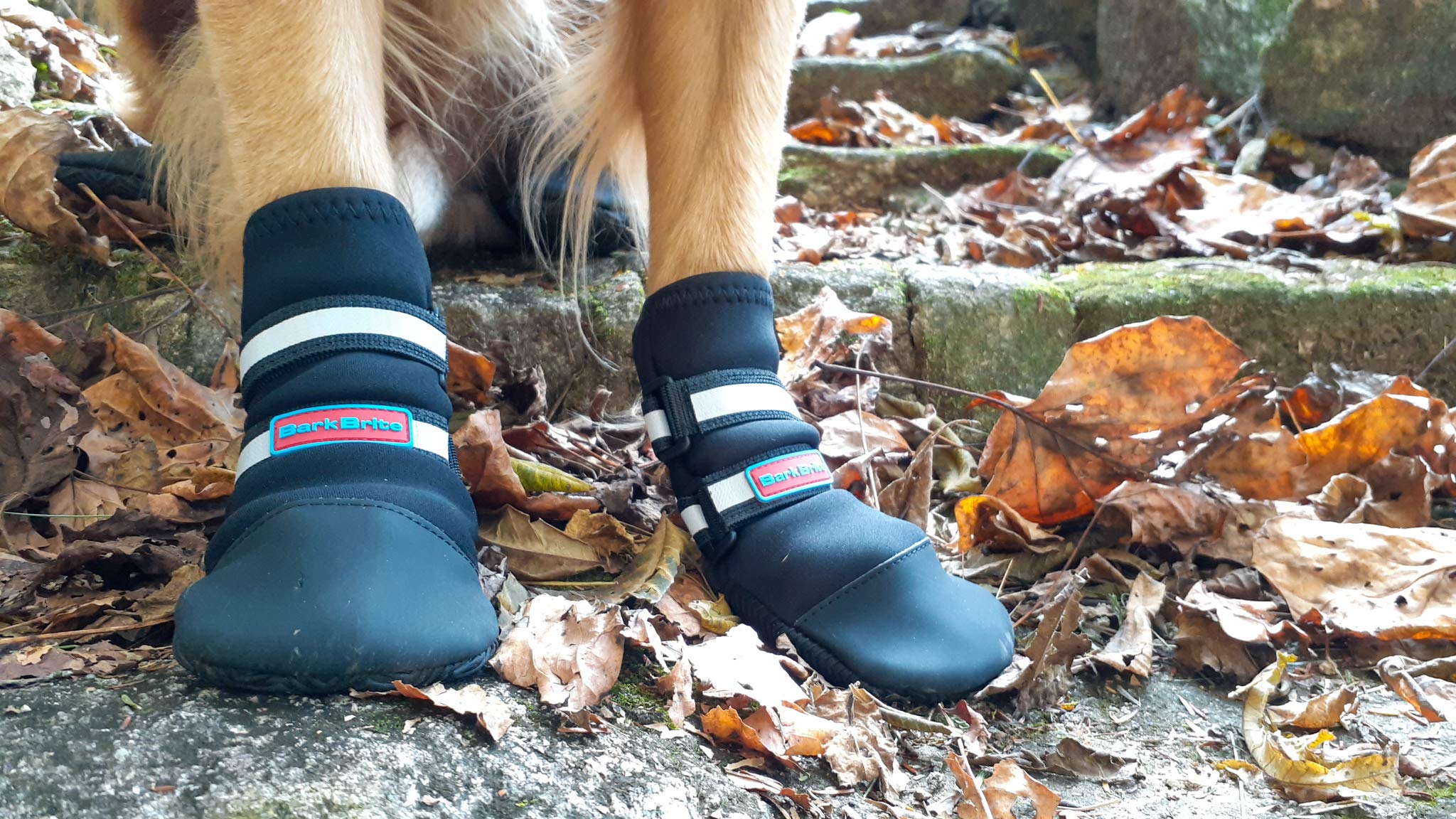 Bark Brite comparaison taille avec patte pour choisir la bonne taille