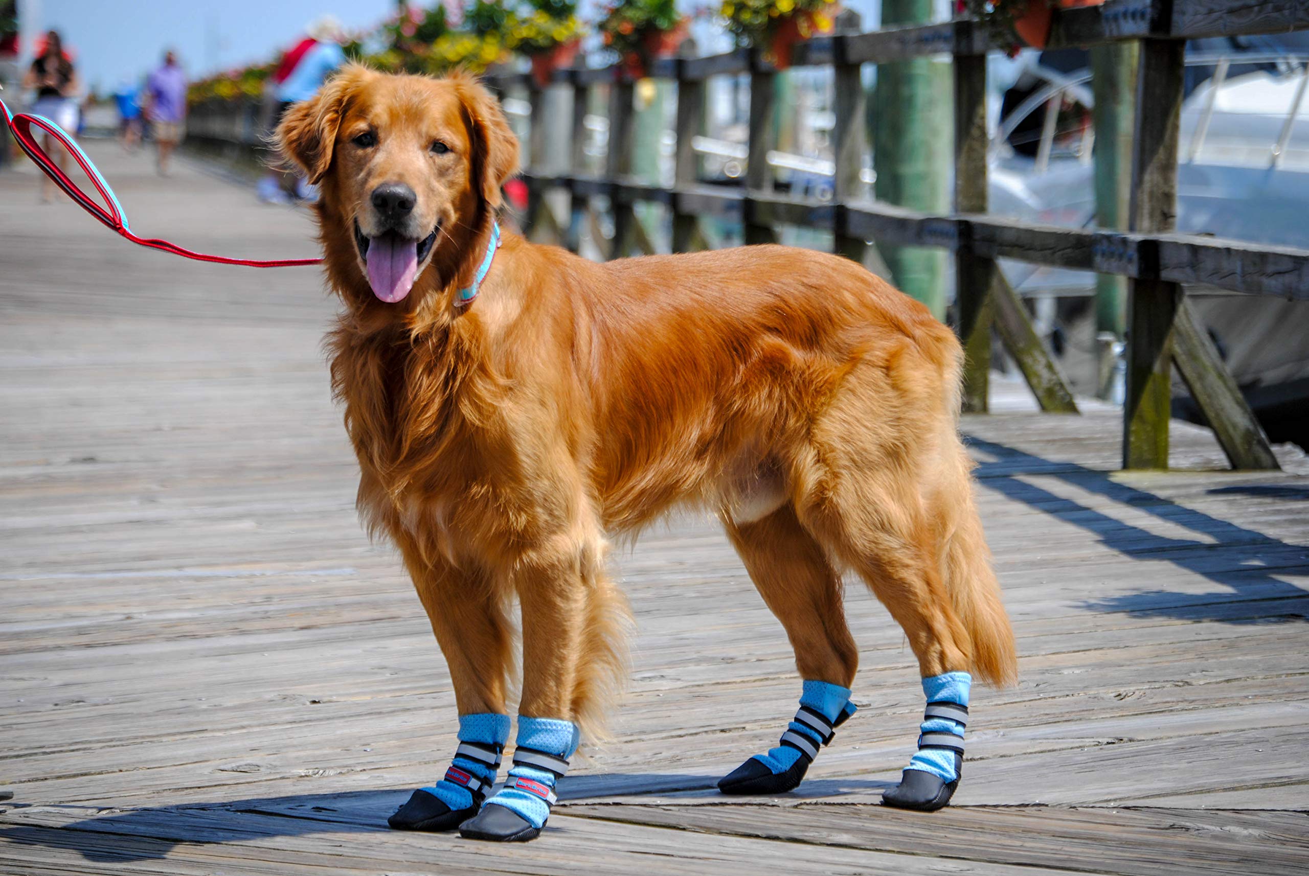 Bark Brite vue avant du paquet montrant les bottines et la couleur bleue, protection visible