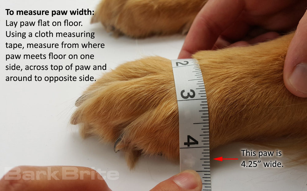 Bark Brite bandes élastiques réfléchissantes ajustables, maintien et visibilité