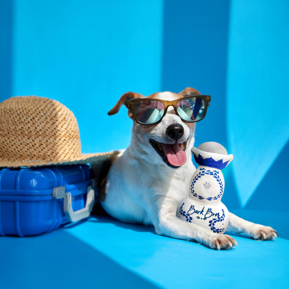 Bark Bros étiquette détaillée imitation bouteille pour réalisme