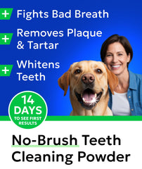BARK&SPARK ajoutant la poudre sur croquettes pour hygiène quotidienne