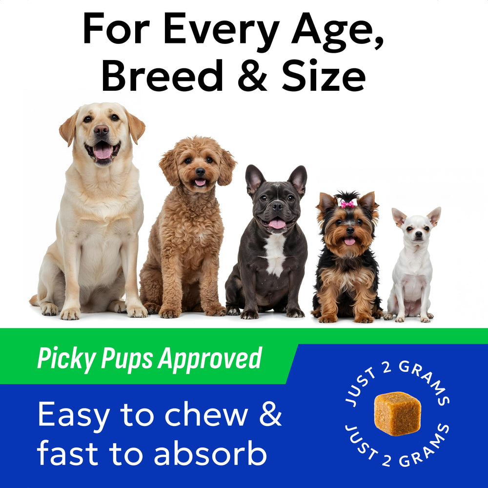 BARK&SPARK certificat qualité USA soulignant contrôle et sécurité