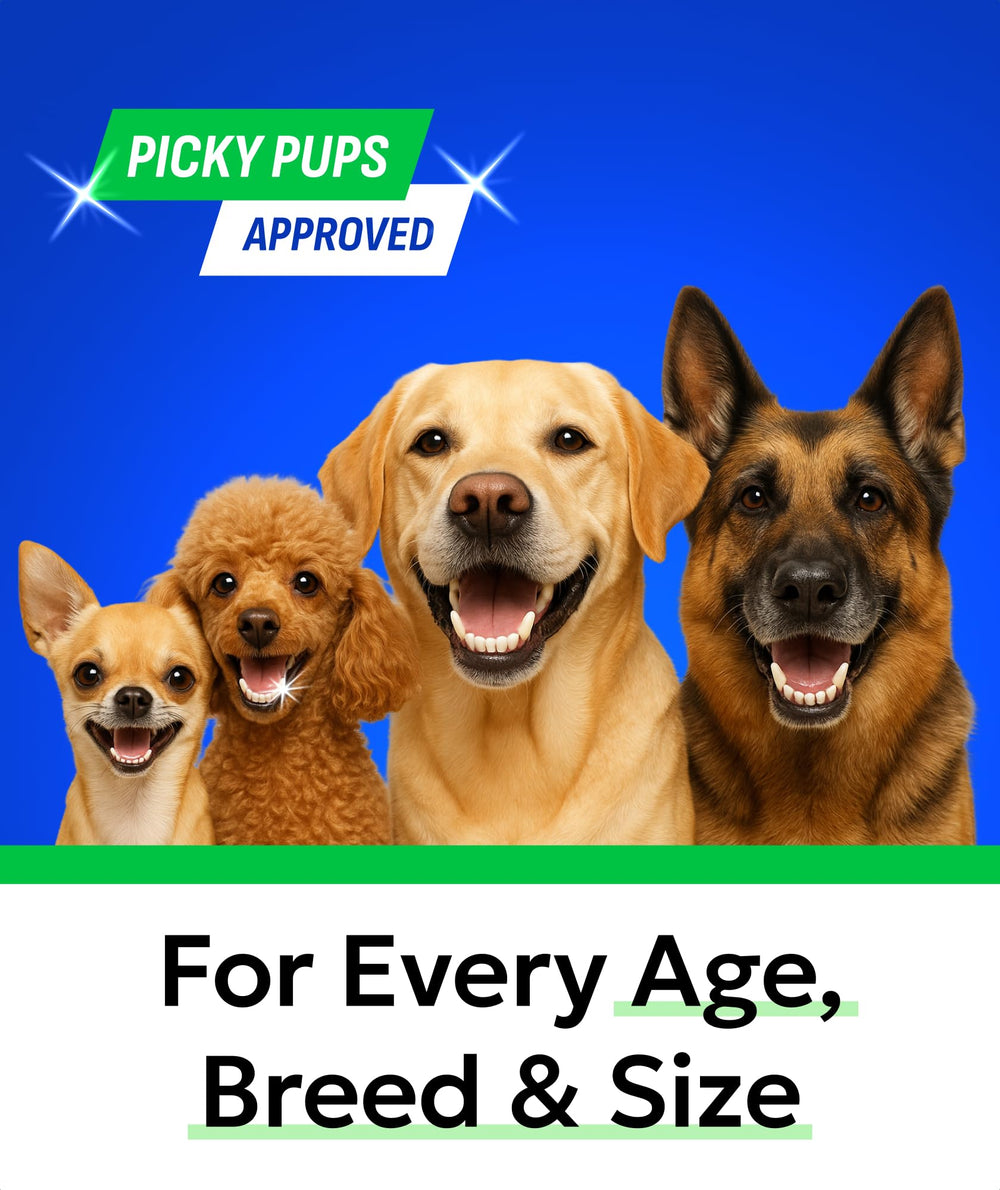 BARK&SPARK étiquette détaillée montrant ingrédient unique et qualité