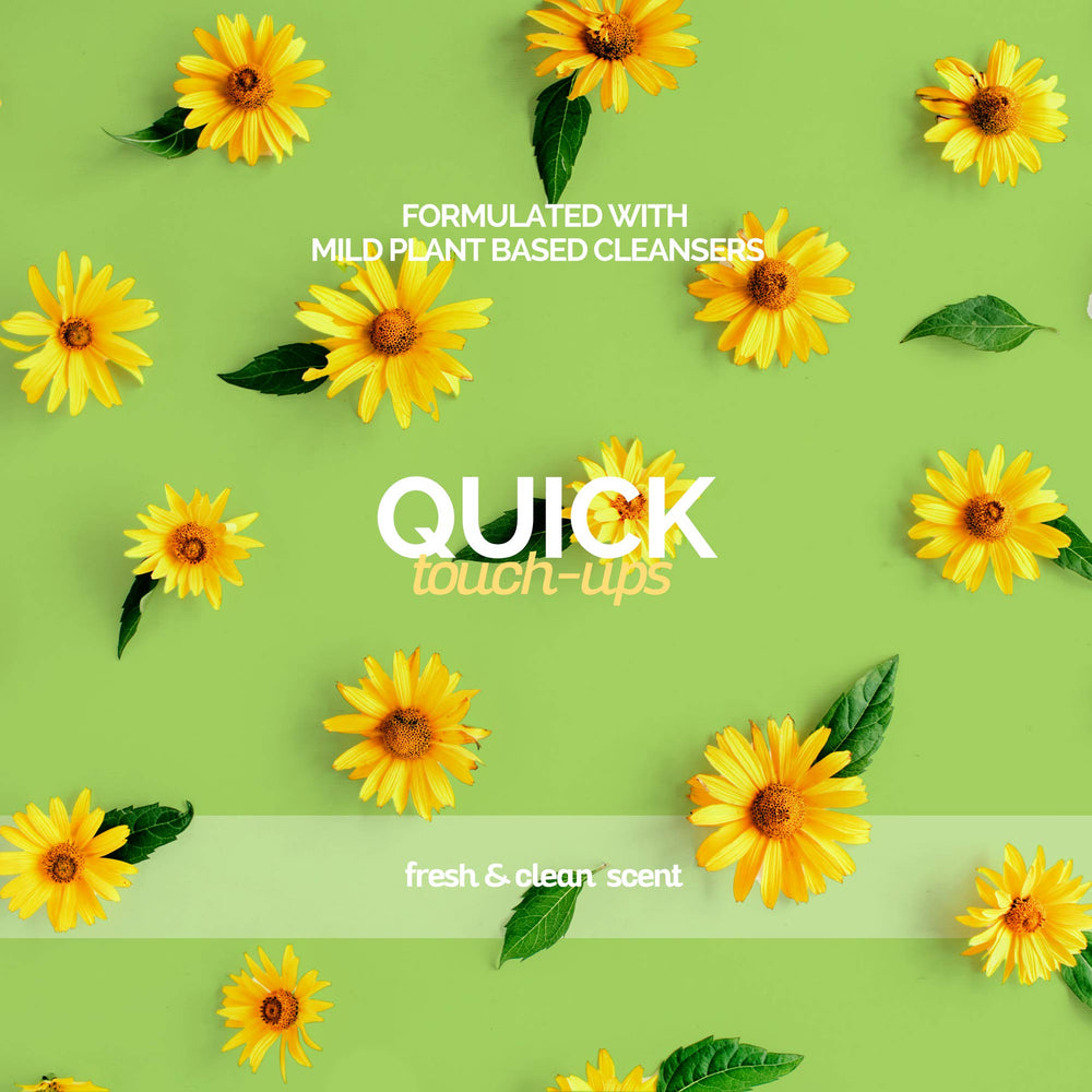 Bark2Basics application sur chien intérieur pour rafraîchir sans eau
