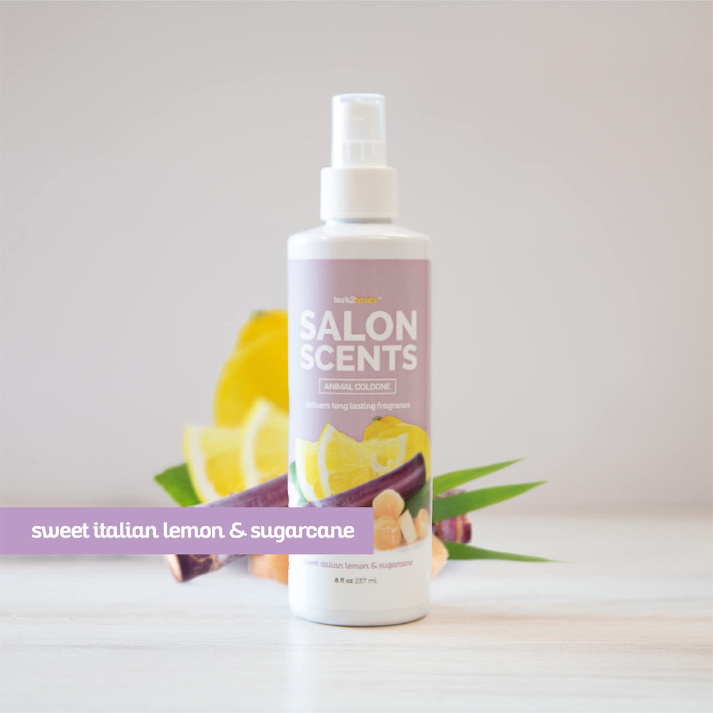 Bark2Basics application sur chien pour pelage frais entre bains