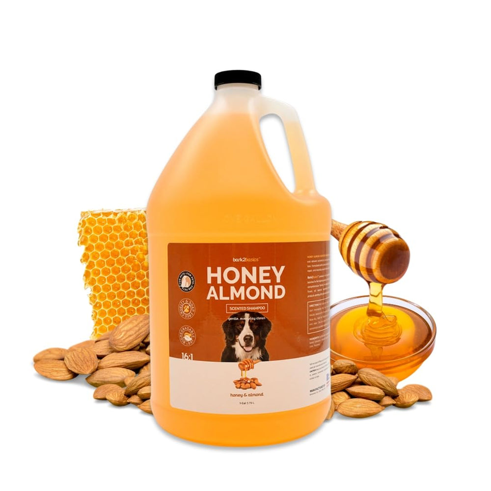 Bark2Basics flacon gallon face montrant emballage professionnel et économie