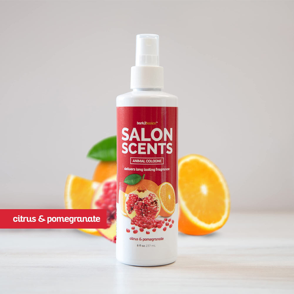 Bark2Basics spray appliqué sur un chien pour fraîcheur instantanée