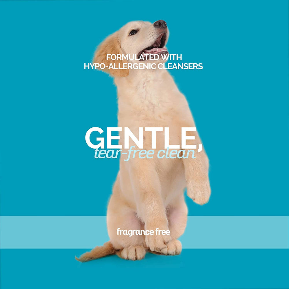Bark2Basics utilisation bain chien démontrant nettoyage en douceur