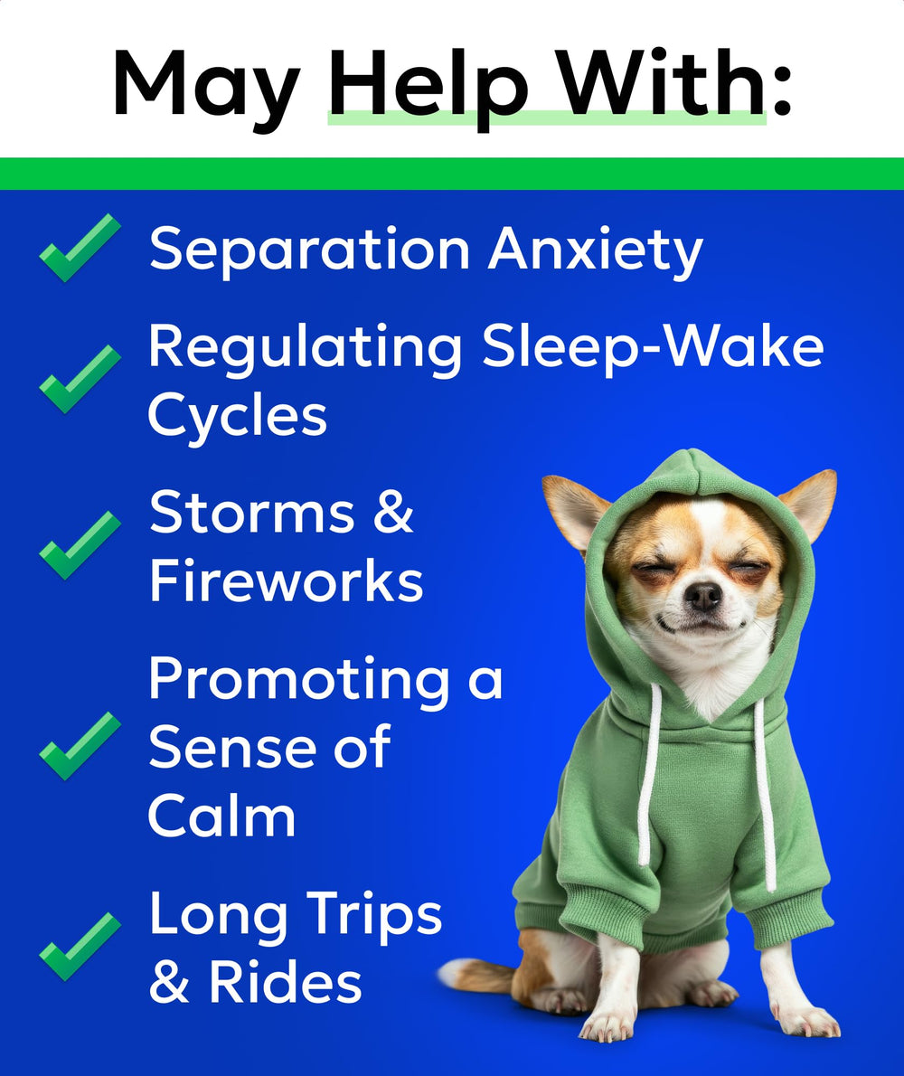BARK&SPARK chien mangeant chew pour apaisement pendant le stress