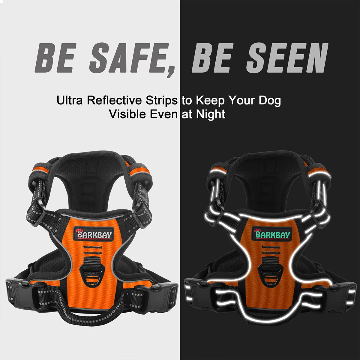 BARKBAY point d'attache dorsal métallique pour tenue robuste