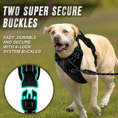 BARKBAY clip arrière détail, attache robuste pour promenade détendue
